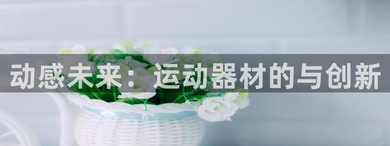 k1体育官方正版app集团官网首页网址:动感未来:运动器材的