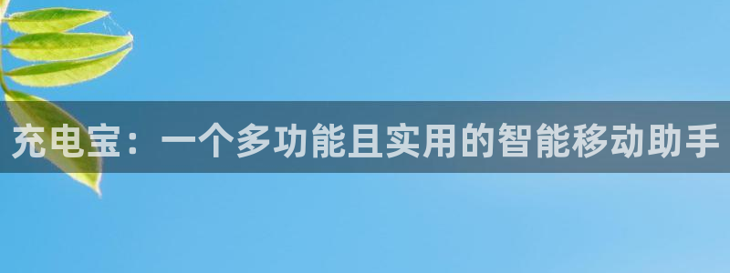 k1体育官网下载平台是正规平台吗安全吗:充电宝:一个多功能且